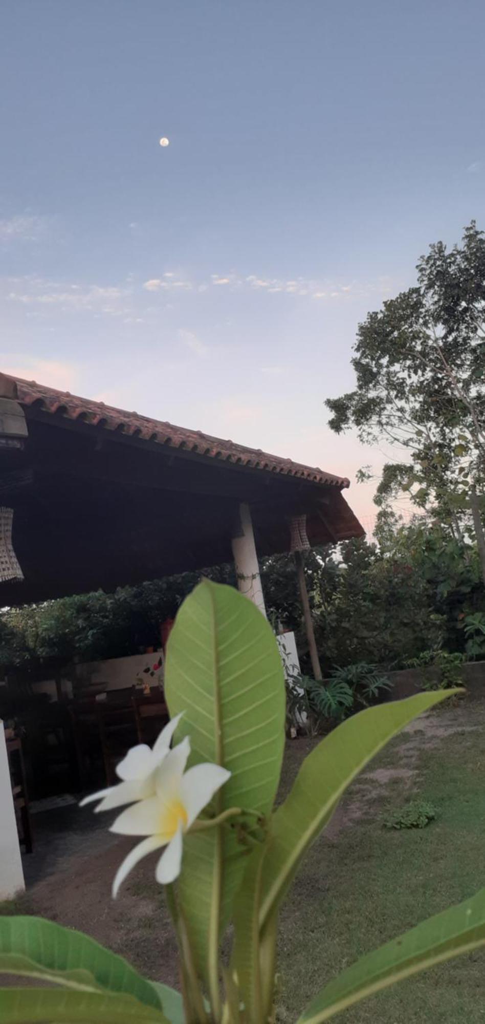 Pousada Reis Magos Nova Caraiva Caraíva Exterior foto